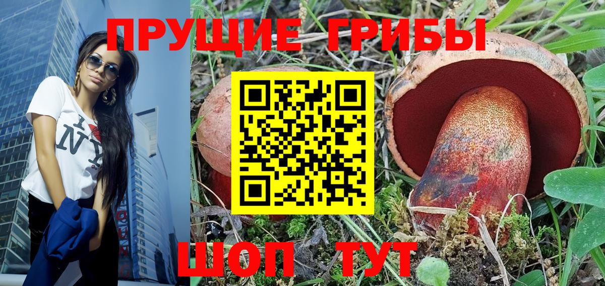 Галлюциногенные грибы прущие грибы  Вход с VPN  Наро-Фоминск  Псилоцибиновые грибы GOLDEN TEACHER 